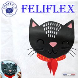 FéliFlex