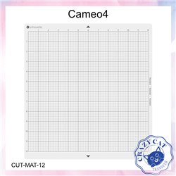 Feuille de transport pour Cameo 4